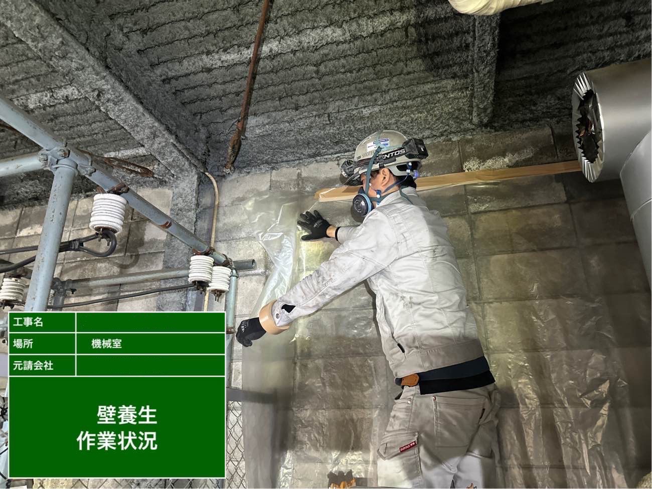 壁の養生している様子