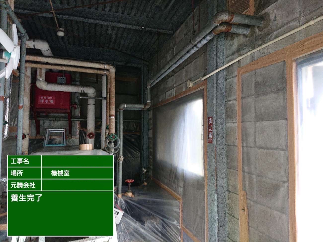 養生が完了した後の様子